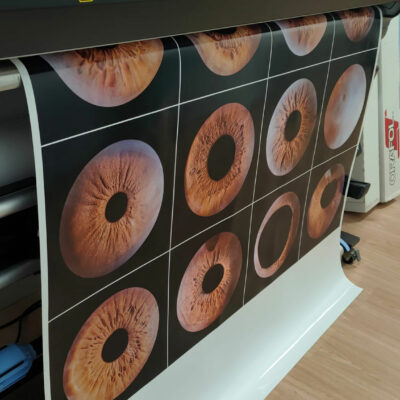 01055d79-5508-46a6-b767-db0bf02db304