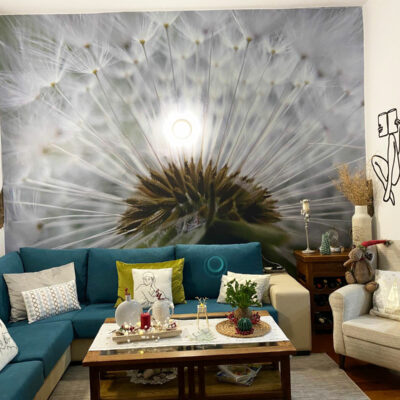 2c18dfb3-f8ea-4386-8d07-c381d5f5c81c