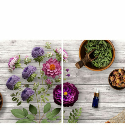 8fbd55b1-c055-4607-a6a1-32cd331540e1