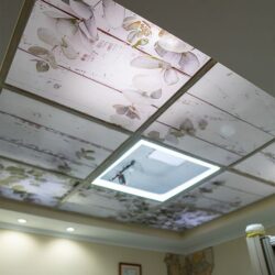 monzon_imagenes_2026-14